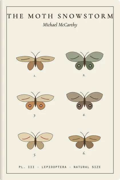 Entomology plate cover theme